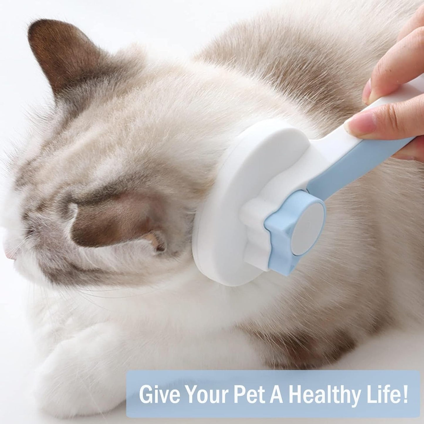Self-Cleaning Pet Brush for Dogs and Cats, Portable Tool
